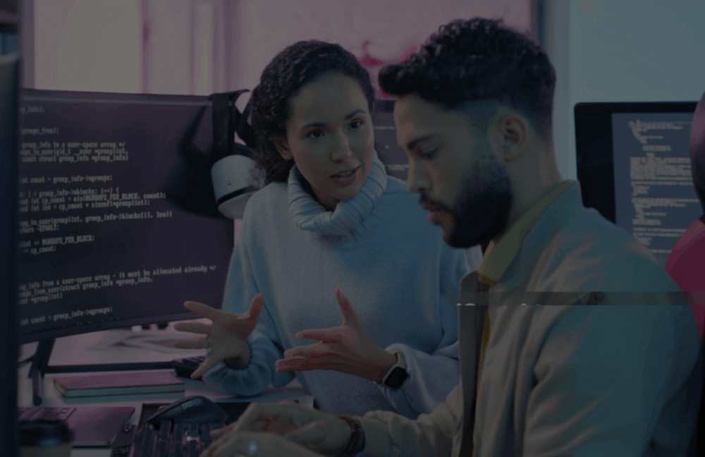 wordpress development agency